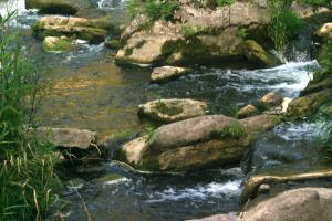 <img300*0:stuff/z/169023/chittenango%2520falls%25203/i1248891552_34.jpg>