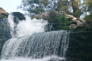 <img300*0:stuff/z/169023/chittenango%2520falls%25203/i1248891552_35.jpg>