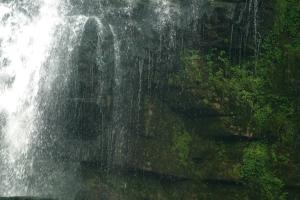 <img300*0:stuff/z/169023/chittenango%2520falls%25203/i1248891552_37.jpg>