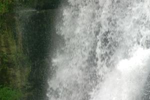 <img300*0:stuff/z/169023/chittenango%2520falls%25203/i1248891552_38.jpg>
