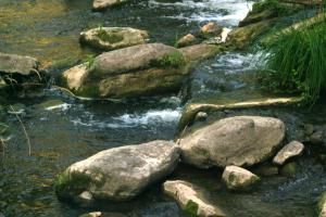 <img300*0:stuff/z/169023/chittenango%2520falls%25203/i1248891552_40.jpg>