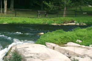 <img300*0:stuff/z/169023/chittenango%2520falls/i1248734784_2.jpg>