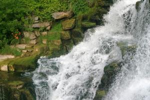 <img300*0:stuff/z/169023/chittenango%2520falls/i1248734784_3.jpg>