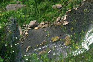 <img300*0:stuff/z/169023/chittenango%2520falls/i1248734784_4.jpg>