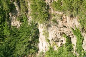 <img300*0:stuff/z/169023/chittenango%2520falls/i1248734785_10.jpg>