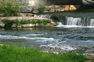 <img300*0:stuff/z/169023/chittenango%2520falls/i1248734785_6.jpg>