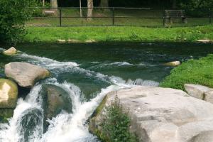 <img300*0:stuff/z/169023/chittenango%2520falls/i1248734785_8.jpg>