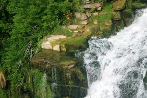 <img300*0:stuff/z/169023/chittenango%2520falls/i1248734785_9.jpg>
