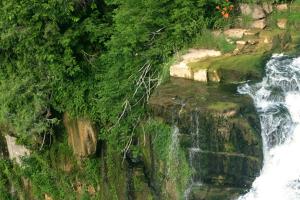 <img300*0:stuff/z/169023/chittenango%2520falls/i1248734786_15.jpg>