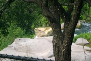 <img300*0:stuff/z/169023/chittenango%2520falls/i1248734786_17.jpg>