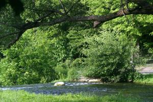 <img300*0:stuff/z/169023/chittenango%2520falls/i1248734786_18.jpg>