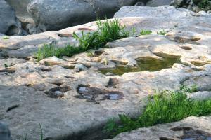 <img300*0:stuff/z/169023/chittenango%2520falls/i1248734786_19.jpg>
