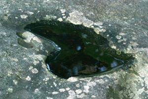 <img300*0:stuff/z/169023/chittenango%2520falls/i1248734787_24.jpg>