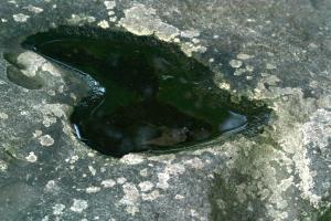 <img300*0:stuff/z/169023/chittenango%2520falls/i1248734787_30.jpg>