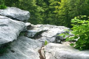 <img300*0:stuff/z/169023/chittenango%2520falls/i1248734787_31.jpg>