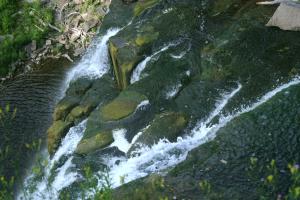 <img300*0:stuff/z/169023/chittenango%2520falls/i1248734788_33.jpg>