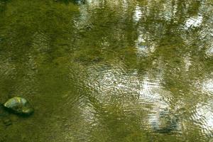 <img300*0:stuff/z/169023/chittenango%2520falls/i1248734788_35.jpg>