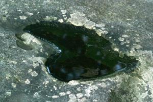 <img300*0:stuff/z/169023/chittenango%2520falls/i1248734788_36.jpg>