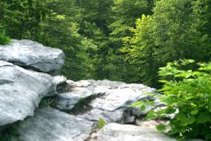 <img300*0:stuff/z/169023/chittenango%2520falls/i1248734788_37.jpg>