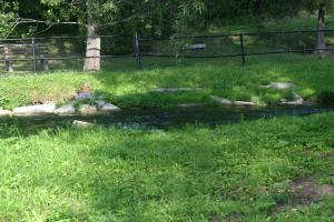 <img300*0:stuff/z/169023/chittenango%2520falls/i1248734788_40.jpg>