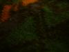 <img100*0:stuff/z/169023/cloth%252042/i1259862374_3.jpg>