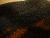 <img100*0:stuff/z/169023/cloth%252042/i1259862374_5.jpg>