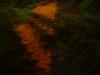 <img100*0:stuff/z/169023/cloth%252042/i1259862374_9.jpg>