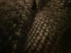 <img100*0:stuff/z/169023/cloth%252042/i1259862375_13.jpg>