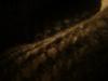 <img100*0:stuff/z/169023/cloth%252042/i1259862375_19.jpg>