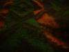 <img100*0:stuff/z/169023/cloth%252042/i1259862375_22.jpg>
