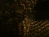 <img100*0:stuff/z/169023/cloth%252042/i1259862375_23.jpg>
