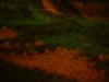 <img100*0:stuff/z/169023/cloth%252042/i1259862375_26.jpg>