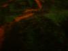 <img100*0:stuff/z/169023/cloth%252042/i1259862375_28.jpg>