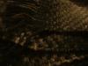<img100*0:stuff/z/169023/cloth%252042/i1259862376_30.jpg>
