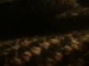 <img100*0:stuff/z/169023/cloth%252042/i1259862376_31.jpg>