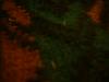 <img100*0:stuff/z/169023/cloth%252042/i1259862376_32.jpg>