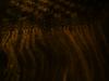 <img100*0:stuff/z/169023/cloth%252042/i1259862376_36.jpg>
