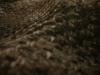 <img100*0:stuff/z/169023/cloth%252042/i1259862376_37.jpg>