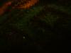<img100*0:stuff/z/169023/cloth%252042/i1259862376_40.jpg>