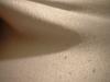 <img100*0:stuff/z/169023/cloth%252047/i1259863093_18.jpg>