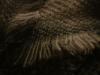 <img100*0:stuff/z/169023/cloth%252083/i1259862448_14.jpg>