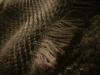 <img100*0:stuff/z/169023/cloth%252083/i1259862448_15.jpg>