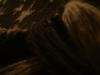 <img100*0:stuff/z/169023/cloth%252083/i1259862448_18.jpg>