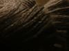 <img100*0:stuff/z/169023/cloth%252083/i1259862448_2.jpg>