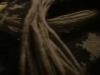 <img100*0:stuff/z/169023/cloth%252083/i1259862448_6.jpg>