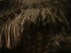 <img100*0:stuff/z/169023/cloth%252083/i1259862448_9.jpg>