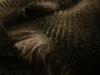 <img100*0:stuff/z/169023/cloth%252083/i1259862449_20.jpg>
