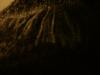 <img100*0:stuff/z/169023/cloth%252083/i1259862449_26.jpg>