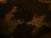 <img100*0:stuff/z/169023/cloth%252083/i1259862449_28.jpg>