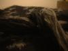 <img100*0:stuff/z/169023/cloth%252083/i1259862449_30.jpg>